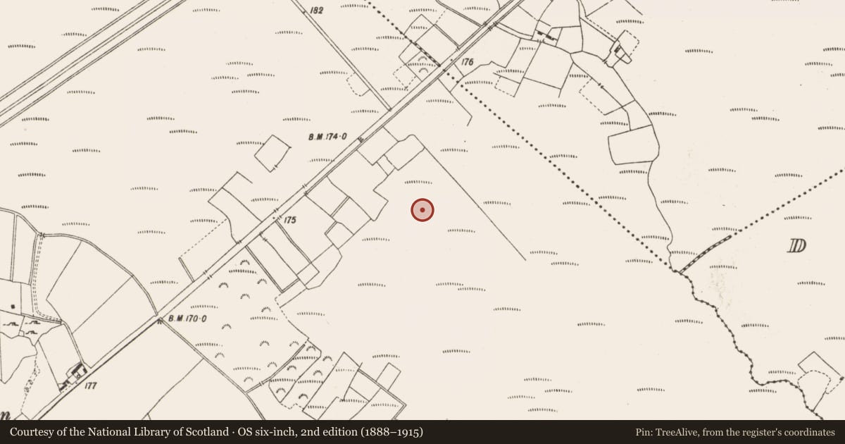 Ordnance Survey six-inch map, 2nd edition (1888–1915) covering the location of Structure - peatland, Lemanaghan, County Offaly, with a pin at the register's coordinates