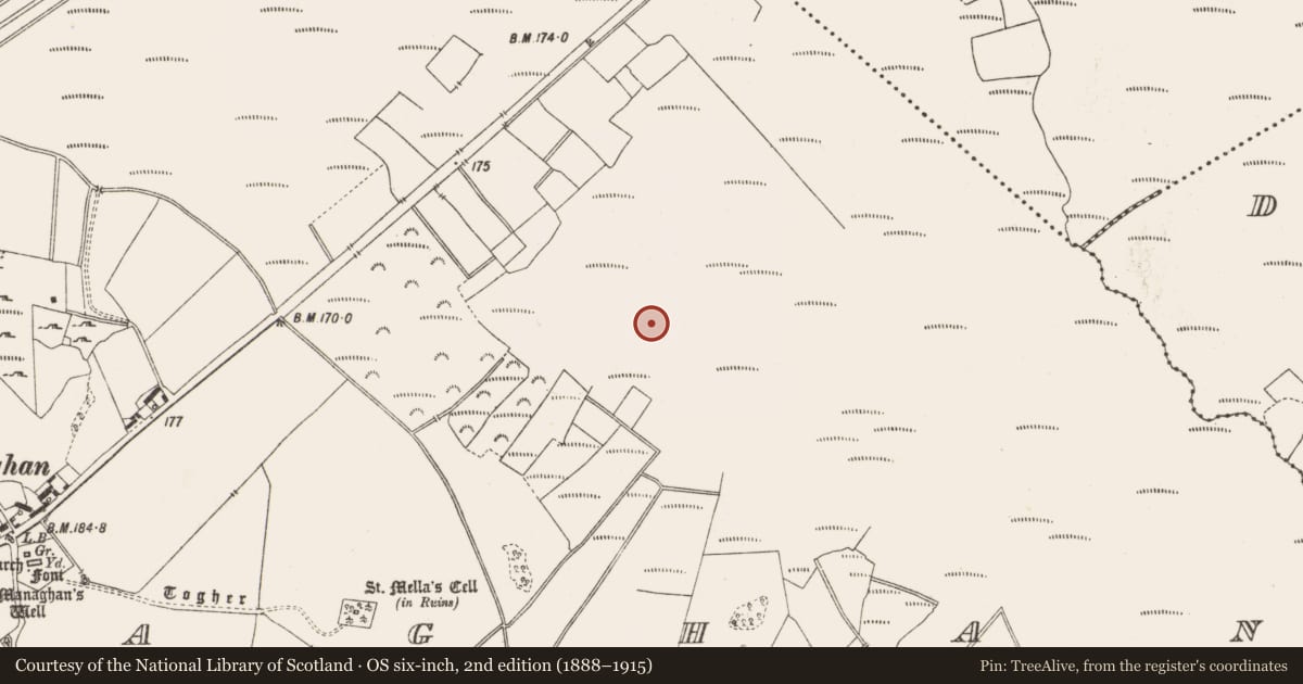 Ordnance Survey six-inch map, 2nd edition (1888–1915) covering the location of Structure - peatland, Lemanaghan, County Offaly, with a pin at the register's coordinates