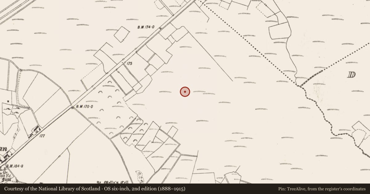 Ordnance Survey six-inch map, 2nd edition (1888–1915) covering the location of Structure - peatland, Lemanaghan, County Offaly, with a pin at the register's coordinates
