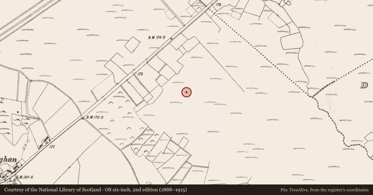 Ordnance Survey six-inch map, 2nd edition (1888–1915) covering the location of Structure - peatland, Lemanaghan, County Offaly, with a pin at the register's coordinates