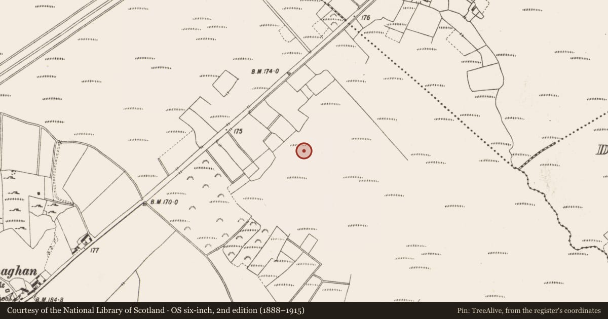 Ordnance Survey six-inch map, 2nd edition (1888–1915) covering the location of Structure - peatland, Lemanaghan, County Offaly, with a pin at the register's coordinates