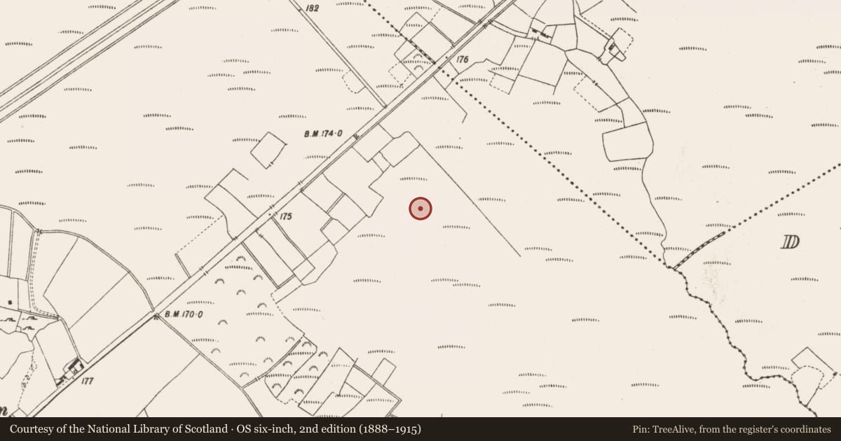 Ordnance Survey six-inch map, 2nd edition (1888–1915) covering the location of Road - class 3 togher, Lemanaghan, County Offaly, with a pin at the register's coordinates