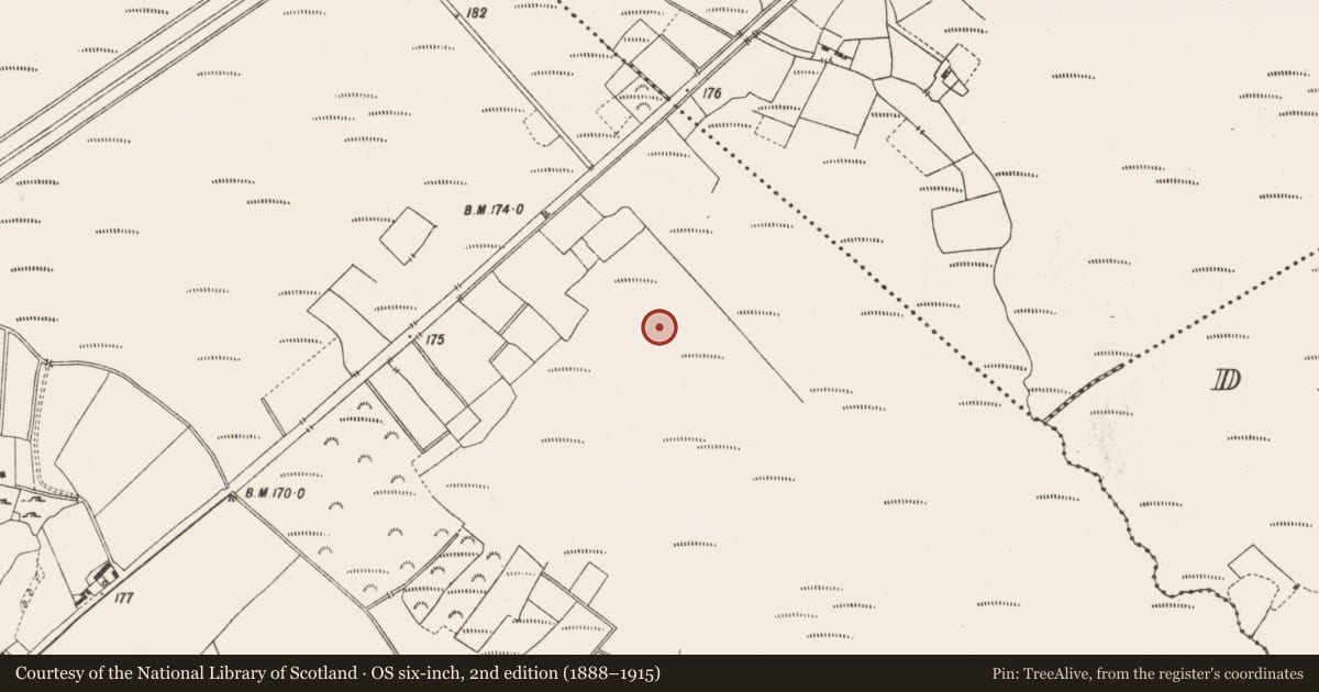 Ordnance Survey six-inch map, 2nd edition (1888–1915) covering the location of Structure - peatland, Lemanaghan, County Offaly, with a pin at the register's coordinates