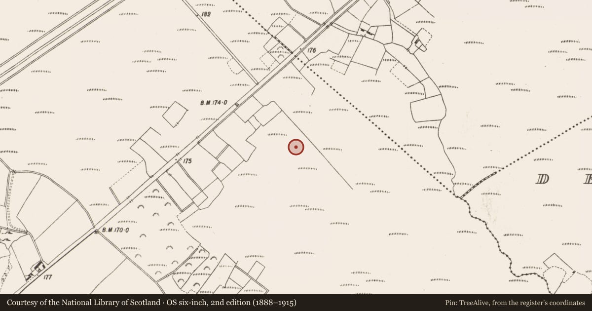 Ordnance Survey six-inch map, 2nd edition (1888–1915) covering the location of Structure - peatland, Lemanaghan, County Offaly, with a pin at the register's coordinates