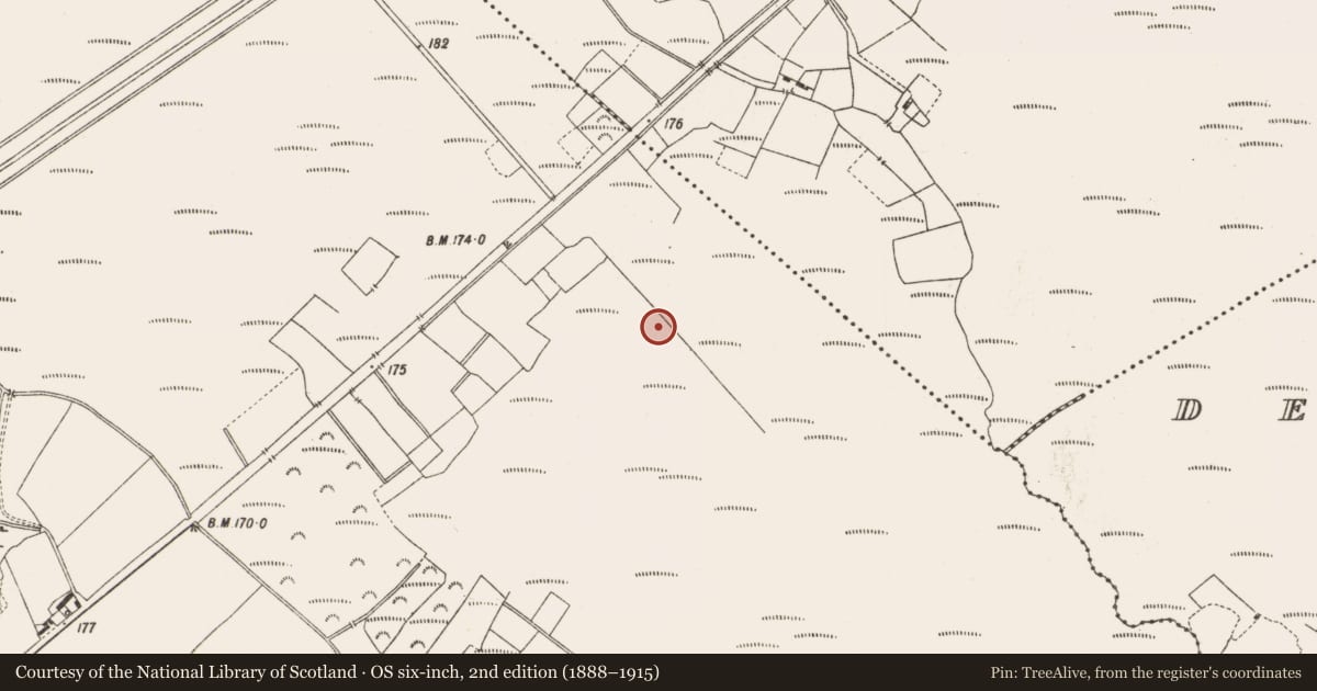 Ordnance Survey six-inch map, 2nd edition (1888–1915) covering the location of Structure - peatland, Lemanaghan, County Offaly, with a pin at the register's coordinates