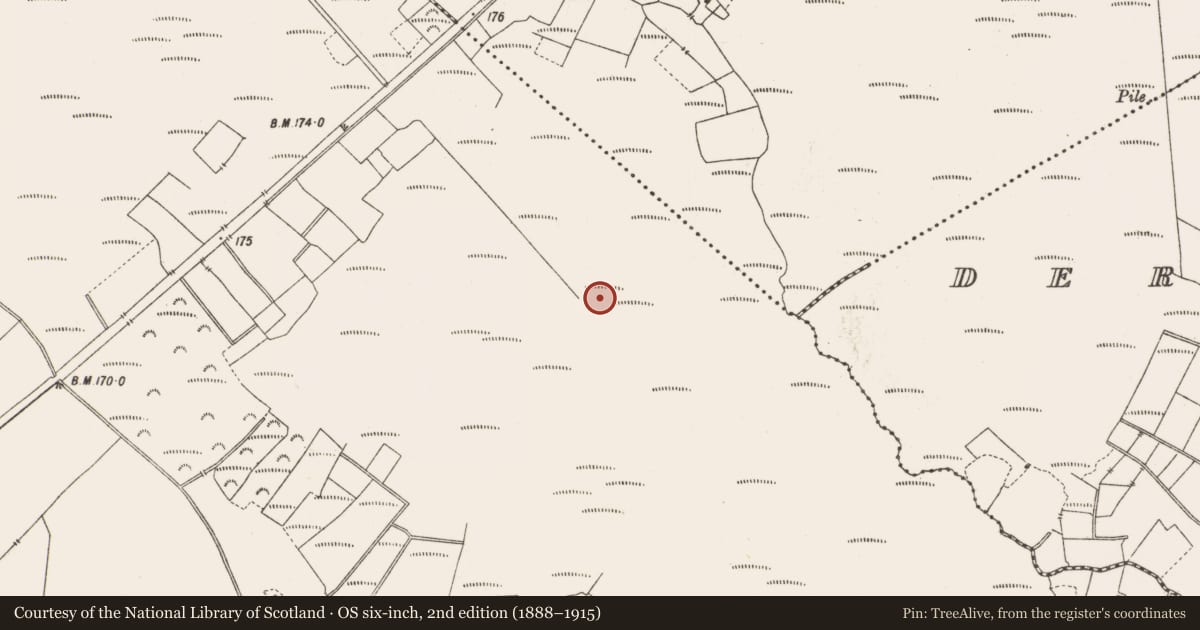 Ordnance Survey six-inch map, 2nd edition (1888–1915) covering the location of Structure - peatland, Lemanaghan, County Offaly, with a pin at the register's coordinates
