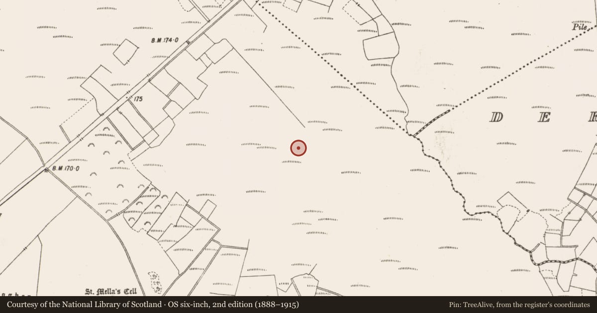 Ordnance Survey six-inch map, 2nd edition (1888–1915) covering the location of Structure - peatland, Lemanaghan, County Offaly, with a pin at the register's coordinates