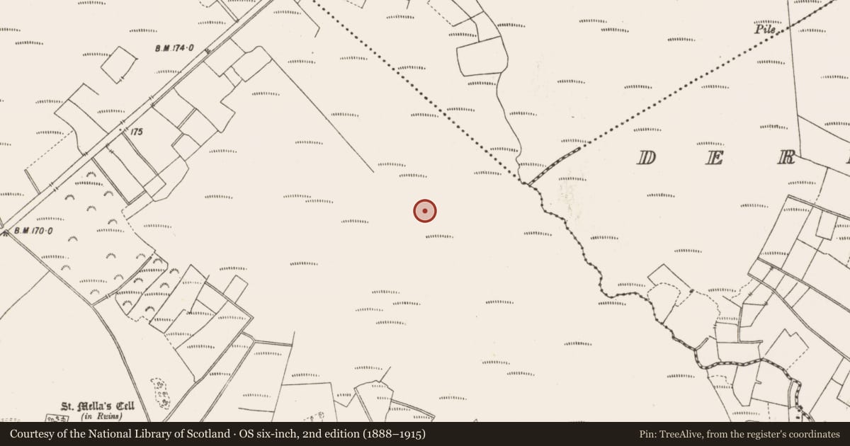 Ordnance Survey six-inch map, 2nd edition (1888–1915) covering the location of Structure - peatland, Lemanaghan, County Offaly, with a pin at the register's coordinates