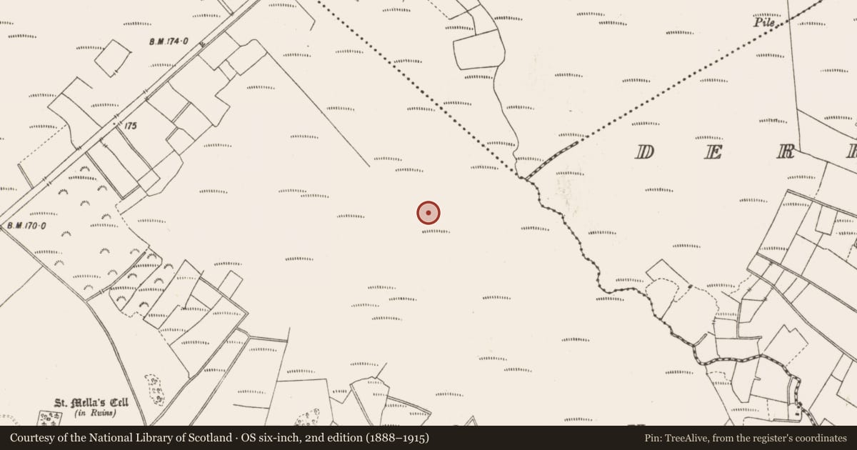 Ordnance Survey six-inch map, 2nd edition (1888–1915) covering the location of Structure - peatland, Lemanaghan, County Offaly, with a pin at the register's coordinates
