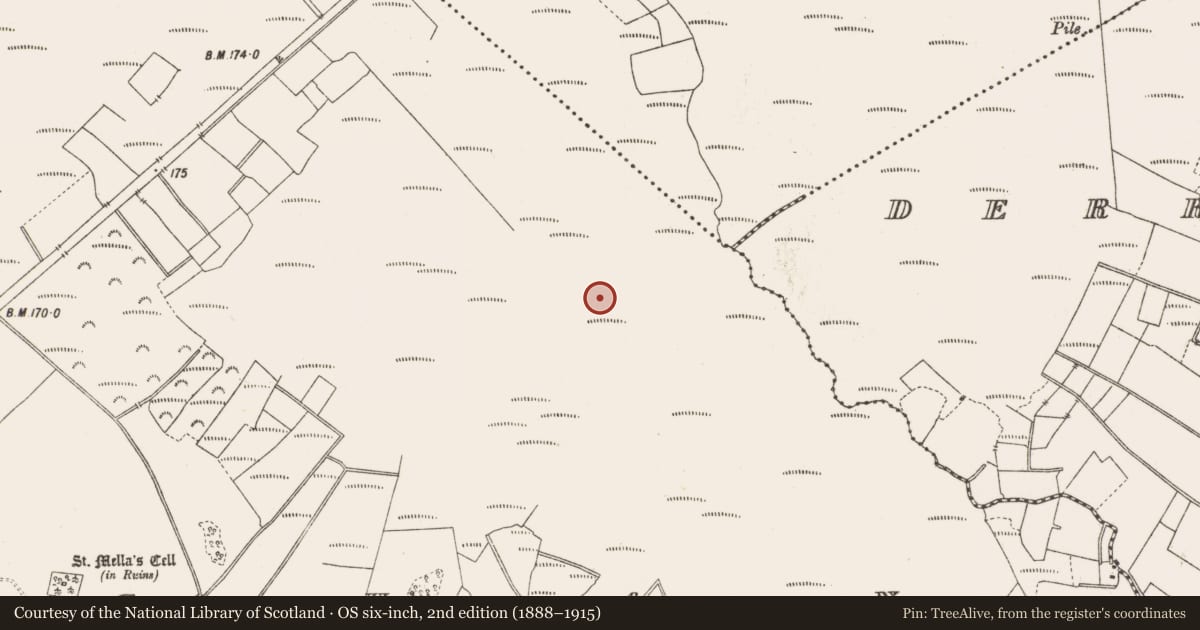 Ordnance Survey six-inch map, 2nd edition (1888–1915) covering the location of Road - class 3 togher, Lemanaghan, County Offaly, with a pin at the register's coordinates