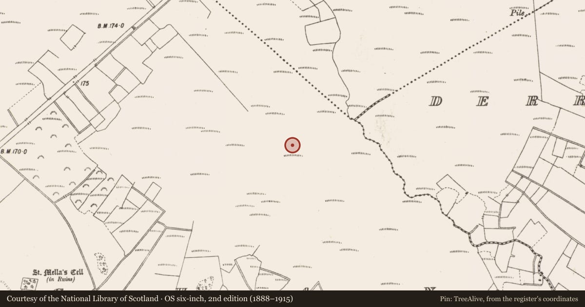 Ordnance Survey six-inch map, 2nd edition (1888–1915) covering the location of Structure - peatland, Lemanaghan, County Offaly, with a pin at the register's coordinates