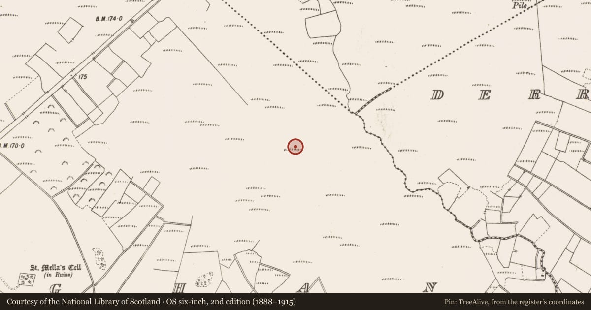 Ordnance Survey six-inch map, 2nd edition (1888–1915) covering the location of Road - class 3 togher, Lemanaghan, County Offaly, with a pin at the register's coordinates