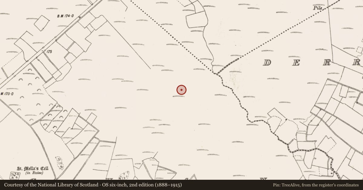 Ordnance Survey six-inch map, 2nd edition (1888–1915) covering the location of Structure - peatland, Lemanaghan, County Offaly, with a pin at the register's coordinates