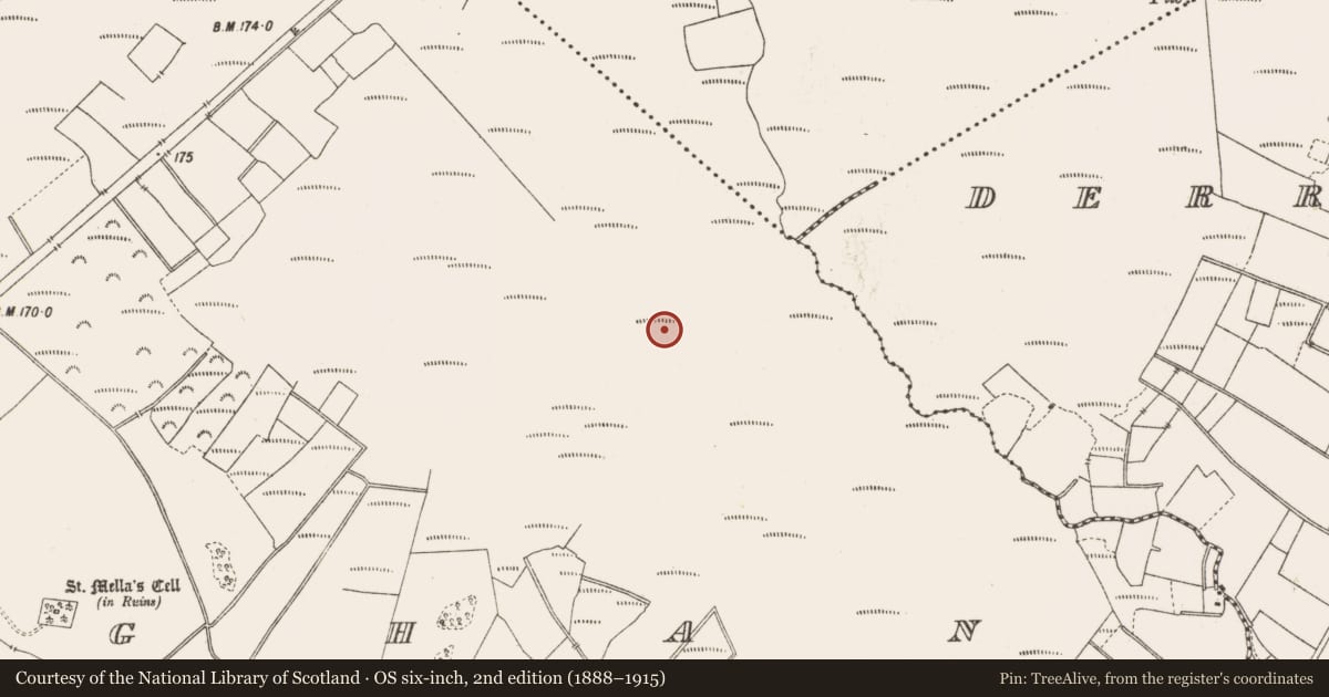 Ordnance Survey six-inch map, 2nd edition (1888–1915) covering the location of Structure - peatland, Lemanaghan, County Offaly, with a pin at the register's coordinates