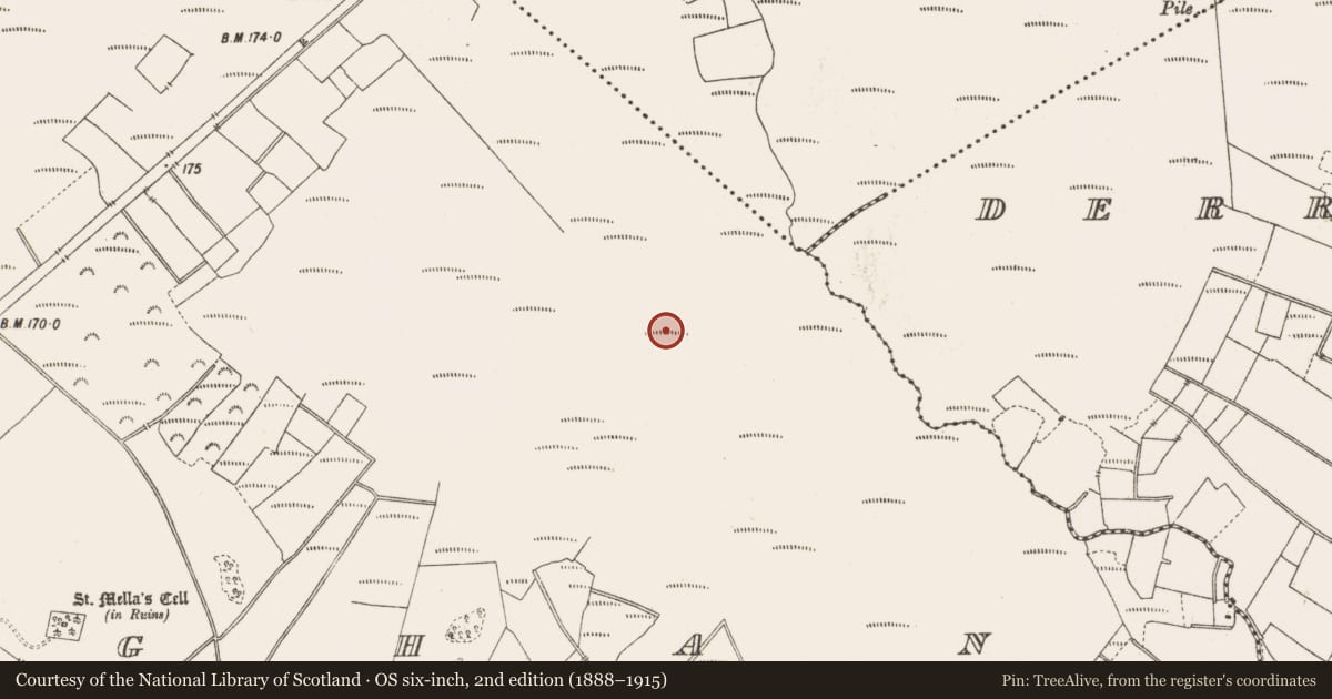 Ordnance Survey six-inch map, 2nd edition (1888–1915) covering the location of Structure - peatland, Lemanaghan, County Offaly, with a pin at the register's coordinates