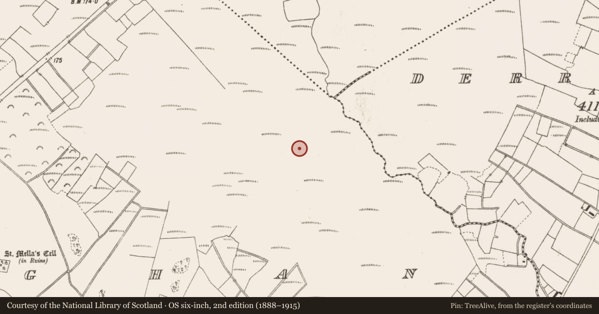 Ordnance Survey six-inch map, 2nd edition (1888–1915) covering the location of Structure - peatland, Lemanaghan, County Offaly, with a pin at the register's coordinates