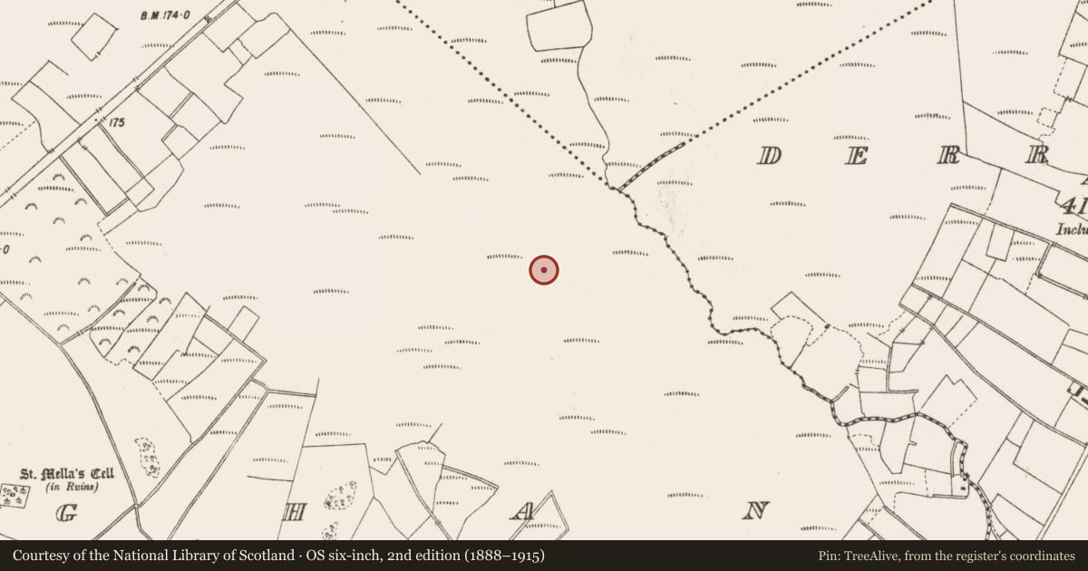 Ordnance Survey six-inch map, 2nd edition (1888–1915) covering the location of Road - class 3 togher, Lemanaghan, County Offaly, with a pin at the register's coordinates