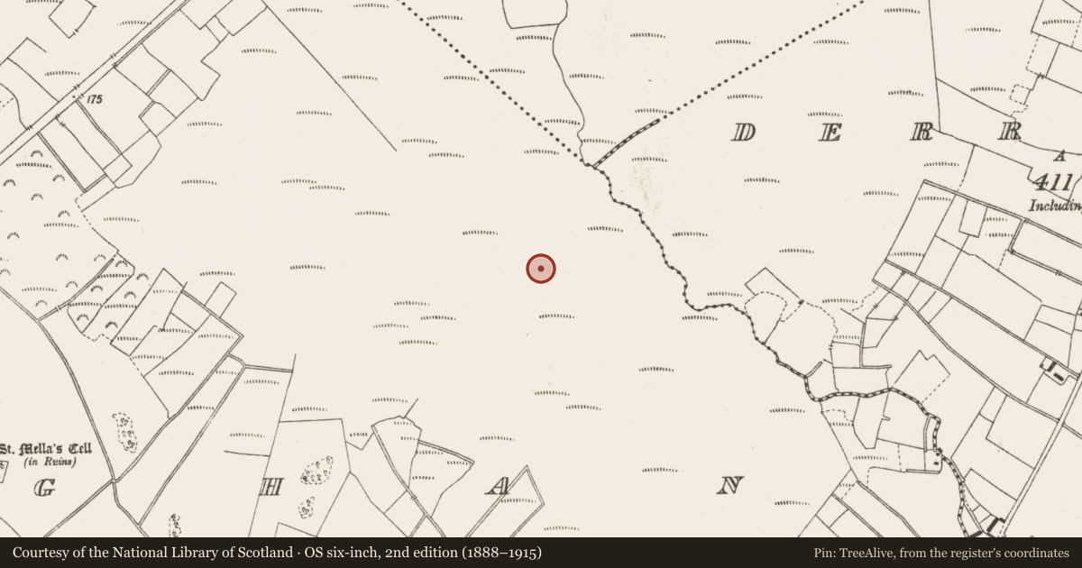 Ordnance Survey six-inch map, 2nd edition (1888–1915) covering the location of Road - class 3 togher, Lemanaghan, County Offaly, with a pin at the register's coordinates