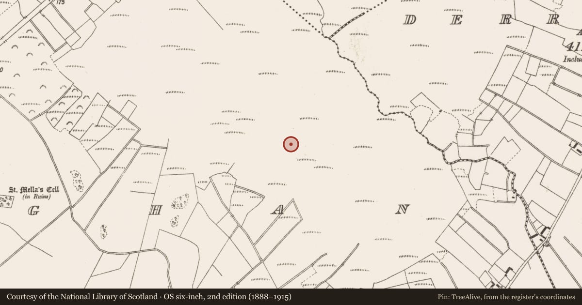 Ordnance Survey six-inch map, 2nd edition (1888–1915) covering the location of Structure - peatland, Lemanaghan, County Offaly, with a pin at the register's coordinates