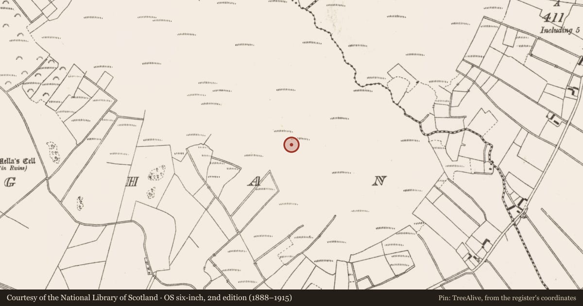 Ordnance Survey six-inch map, 2nd edition (1888–1915) covering the location of Road - class 3 togher, Lemanaghan, County Offaly, with a pin at the register's coordinates