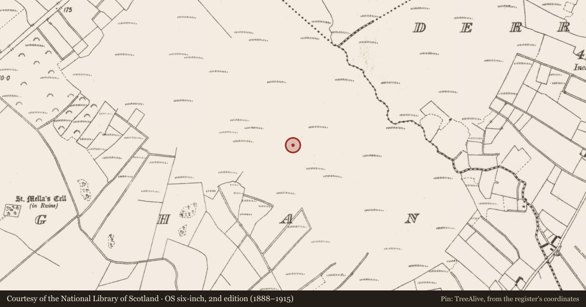 Ordnance Survey six-inch map, 2nd edition (1888–1915) covering the location of Structure - peatland, Lemanaghan, County Offaly, with a pin at the register's coordinates