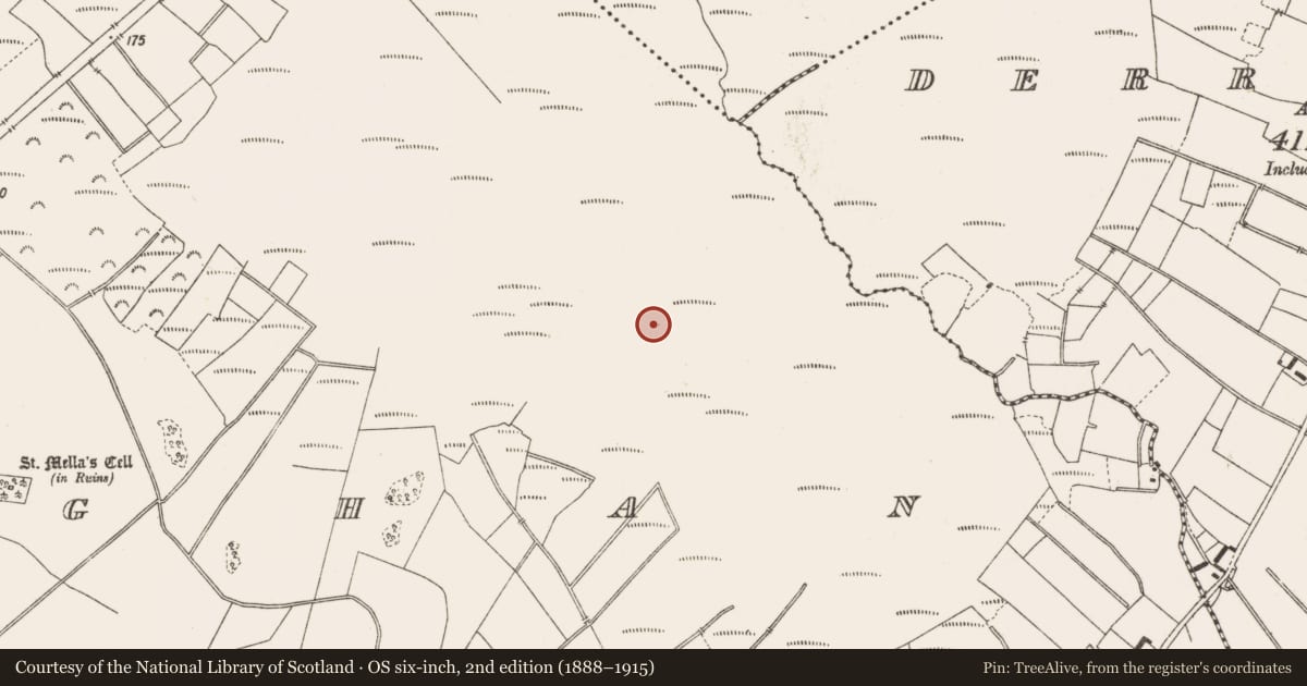 Ordnance Survey six-inch map, 2nd edition (1888–1915) covering the location of Structure - peatland, Lemanaghan, County Offaly, with a pin at the register's coordinates