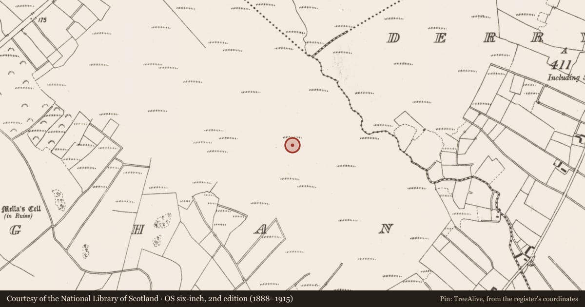 Ordnance Survey six-inch map, 2nd edition (1888–1915) covering the location of Structure - peatland, Lemanaghan, County Offaly, with a pin at the register's coordinates