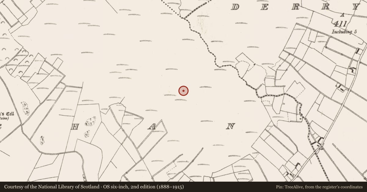 Ordnance Survey six-inch map, 2nd edition (1888–1915) covering the location of Structure - peatland, Lemanaghan, County Offaly, with a pin at the register's coordinates