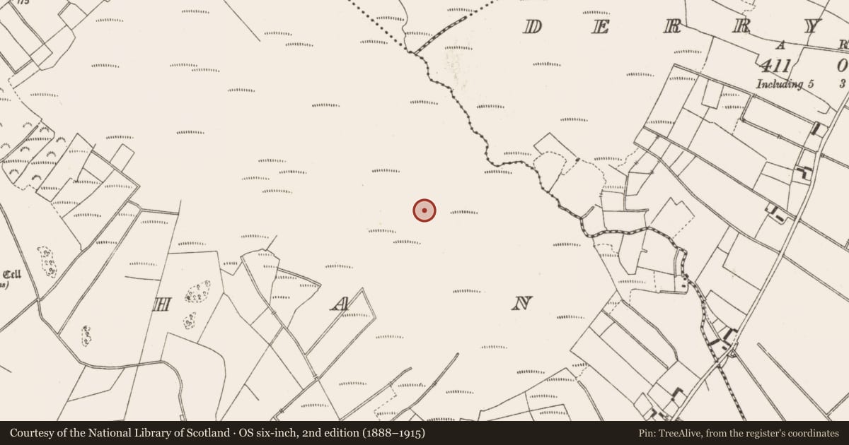 Ordnance Survey six-inch map, 2nd edition (1888–1915) covering the location of Road - class 3 togher, Lemanaghan, County Offaly, with a pin at the register's coordinates