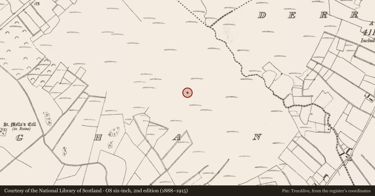 Ordnance Survey six-inch map, 2nd edition (1888–1915) covering the location of Structure - peatland, Lemanaghan, County Offaly, with a pin at the register's coordinates