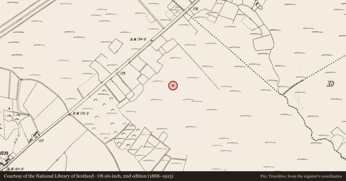 Ordnance Survey six-inch map, 2nd edition (1888–1915) covering the location of Road - road/trackway, Leabeg, Lemanaghan, County Offaly, with a pin at the register's coordinates