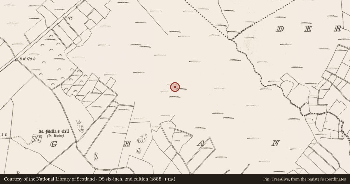 Ordnance Survey six-inch map, 2nd edition (1888–1915) covering the location of Structure - peatland, Lemanaghan, County Offaly, with a pin at the register's coordinates