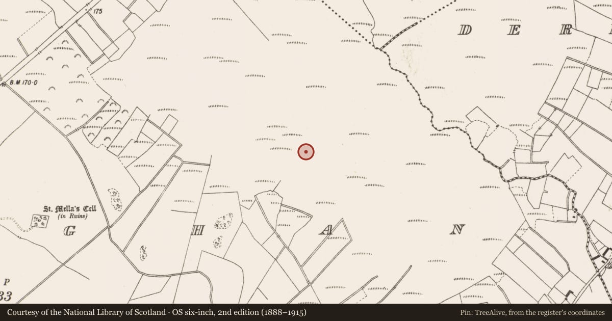 Ordnance Survey six-inch map, 2nd edition (1888–1915) covering the location of Road - class 3 togher, Lemanaghan, County Offaly, with a pin at the register's coordinates