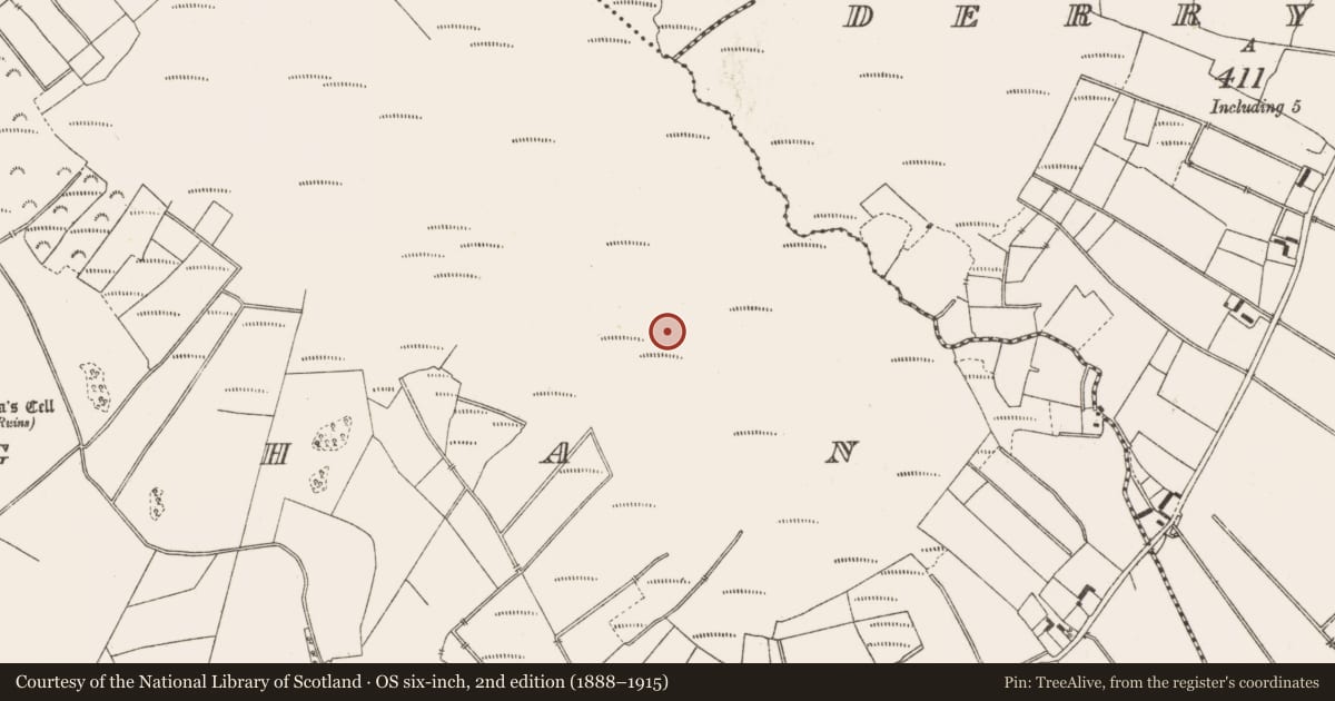 Ordnance Survey six-inch map, 2nd edition (1888–1915) covering the location of Post row - peatland, Lemanaghan, County Offaly, with a pin at the register's coordinates