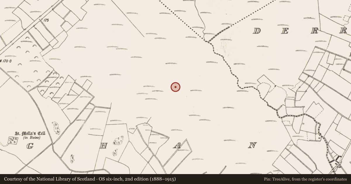 Ordnance Survey six-inch map, 2nd edition (1888–1915) covering the location of Structure - peatland, Lemanaghan, County Offaly, with a pin at the register's coordinates