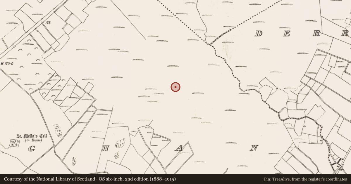 Ordnance Survey six-inch map, 2nd edition (1888–1915) covering the location of Structure - peatland, Lemanaghan, County Offaly, with a pin at the register's coordinates