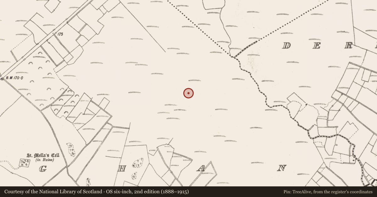 Ordnance Survey six-inch map, 2nd edition (1888–1915) covering the location of Post row - peatland, Lemanaghan, County Offaly, with a pin at the register's coordinates