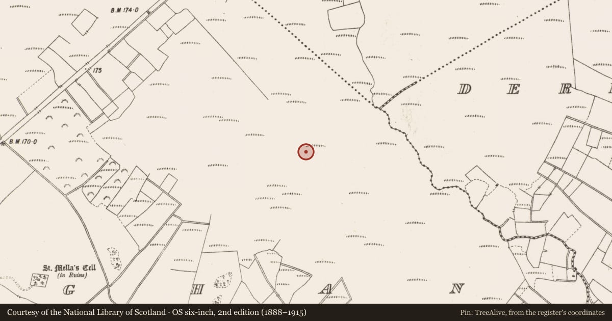 Ordnance Survey six-inch map, 2nd edition (1888–1915) covering the location of Road - class 3 togher, Lemanaghan, County Offaly, with a pin at the register's coordinates