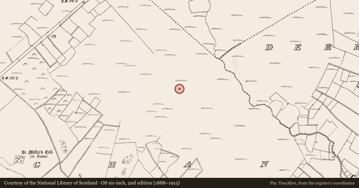 Ordnance Survey six-inch map, 2nd edition (1888–1915) covering the location of Road - class 3 togher, Lemanaghan, County Offaly, with a pin at the register's coordinates