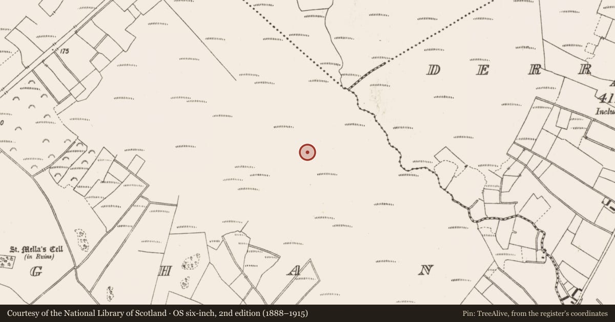 Ordnance Survey six-inch map, 2nd edition (1888–1915) covering the location of Structure - peatland, Lemanaghan, County Offaly, with a pin at the register's coordinates