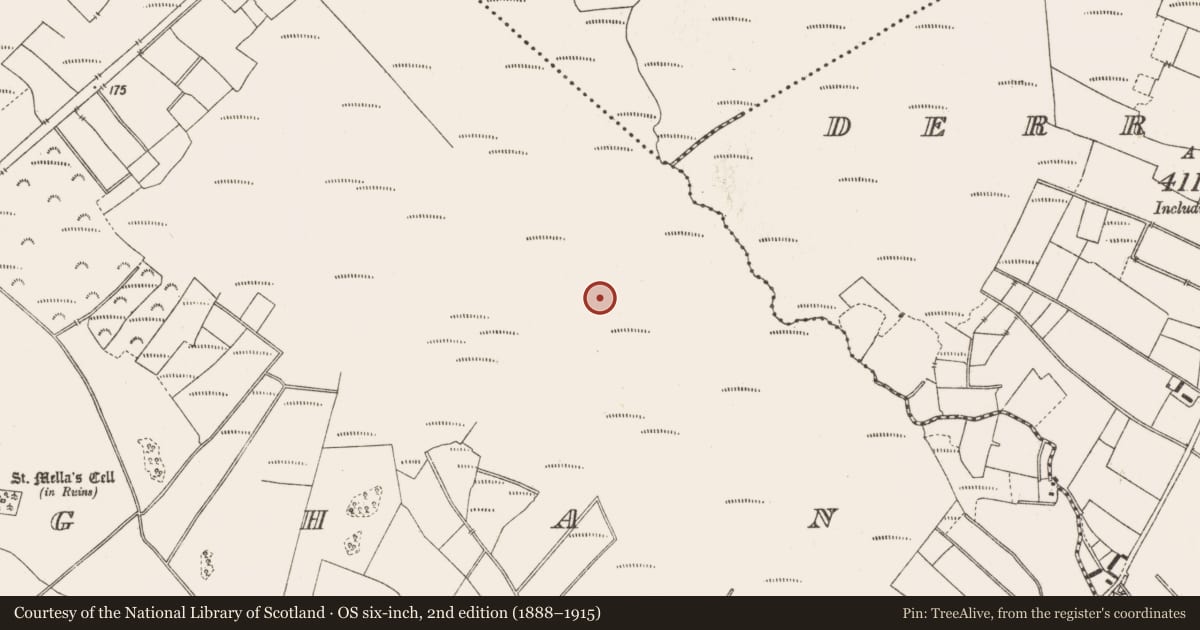 Ordnance Survey six-inch map, 2nd edition (1888–1915) covering the location of Structure - peatland, Lemanaghan, County Offaly, with a pin at the register's coordinates