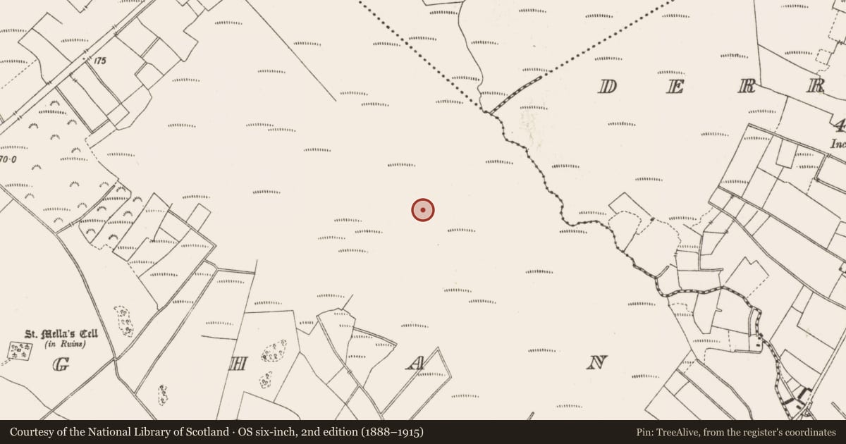 Ordnance Survey six-inch map, 2nd edition (1888–1915) covering the location of Road - class 3 togher, Lemanaghan, County Offaly, with a pin at the register's coordinates