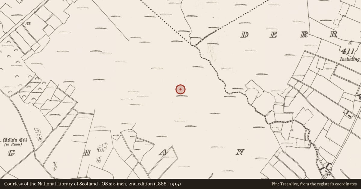 Ordnance Survey six-inch map, 2nd edition (1888–1915) covering the location of Structure - peatland, Lemanaghan, County Offaly, with a pin at the register's coordinates
