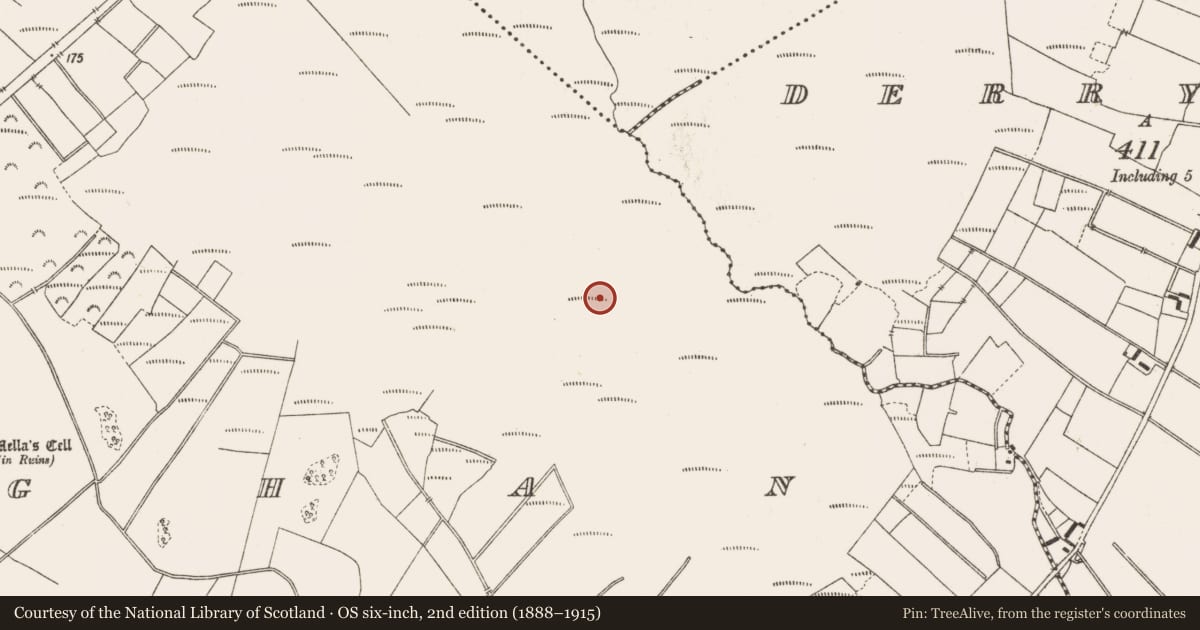 Ordnance Survey six-inch map, 2nd edition (1888–1915) covering the location of Road - class 3 togher, Lemanaghan, County Offaly, with a pin at the register's coordinates