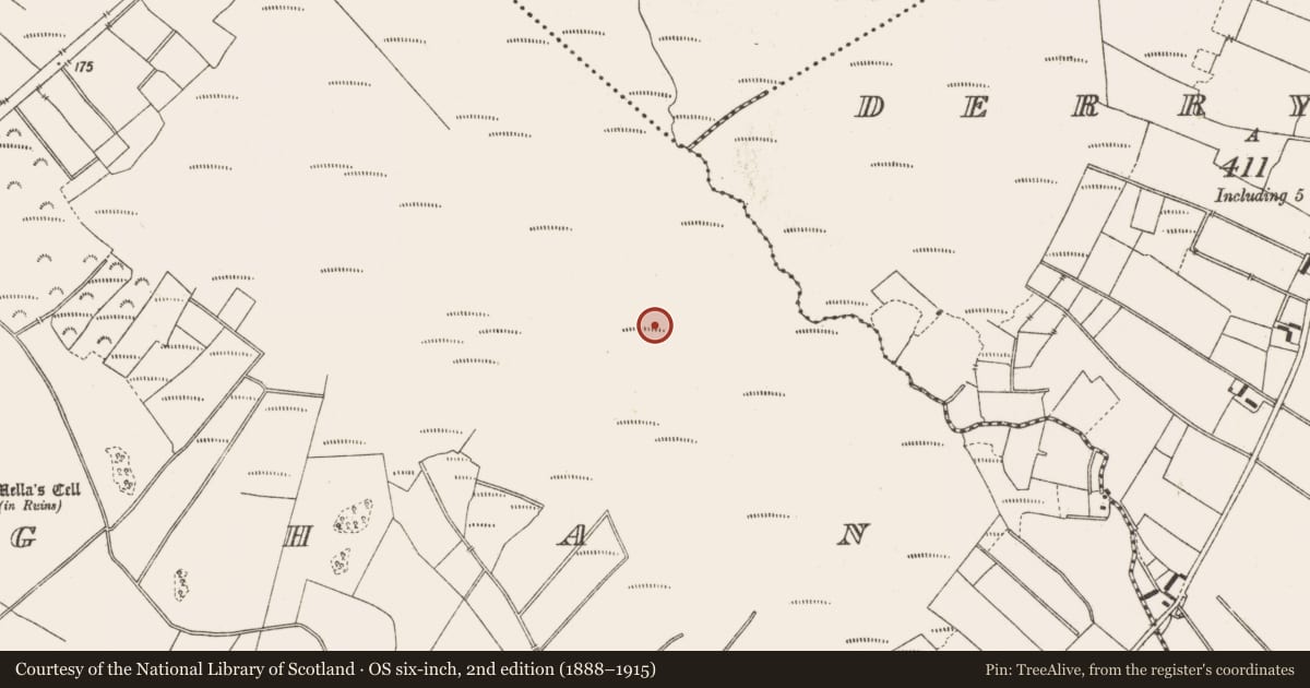 Ordnance Survey six-inch map, 2nd edition (1888–1915) covering the location of Road - class 3 togher, Lemanaghan, County Offaly, with a pin at the register's coordinates
