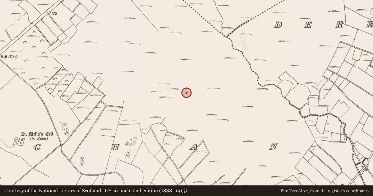 Ordnance Survey six-inch map, 2nd edition (1888–1915) covering the location of Structure - peatland, Lemanaghan, County Offaly, with a pin at the register's coordinates