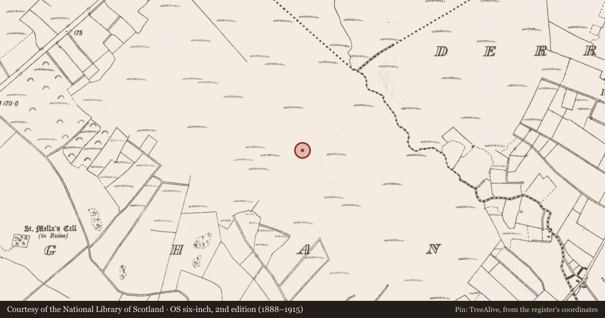 Ordnance Survey six-inch map, 2nd edition (1888–1915) covering the location of Road - class 3 togher, Lemanaghan, County Offaly, with a pin at the register's coordinates