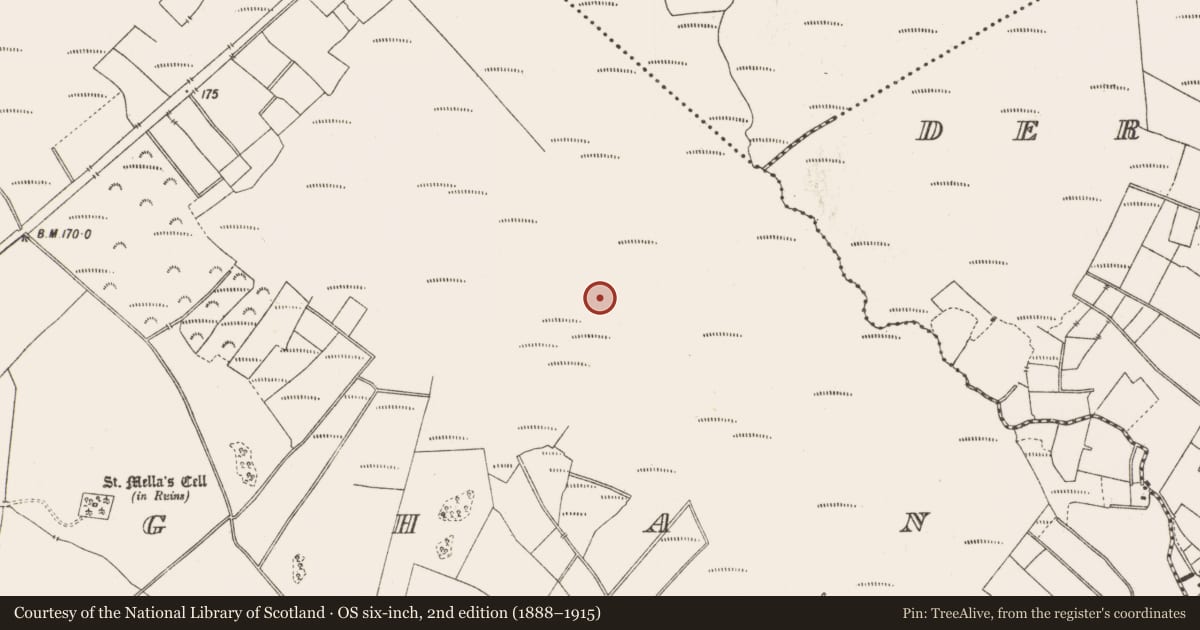 Ordnance Survey six-inch map, 2nd edition (1888–1915) covering the location of Road - class 3 togher, Lemanaghan, County Offaly, with a pin at the register's coordinates