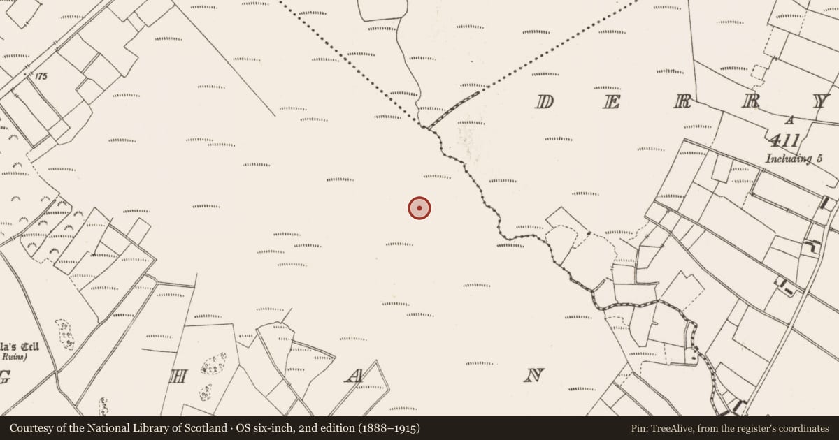Ordnance Survey six-inch map, 2nd edition (1888–1915) covering the location of Road - class 3 togher, Lemanaghan, County Offaly, with a pin at the register's coordinates
