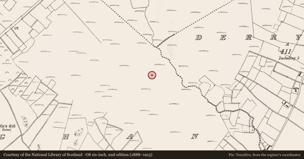 Ordnance Survey six-inch map, 2nd edition (1888–1915) covering the location of Structure - peatland, Lemanaghan, County Offaly, with a pin at the register's coordinates